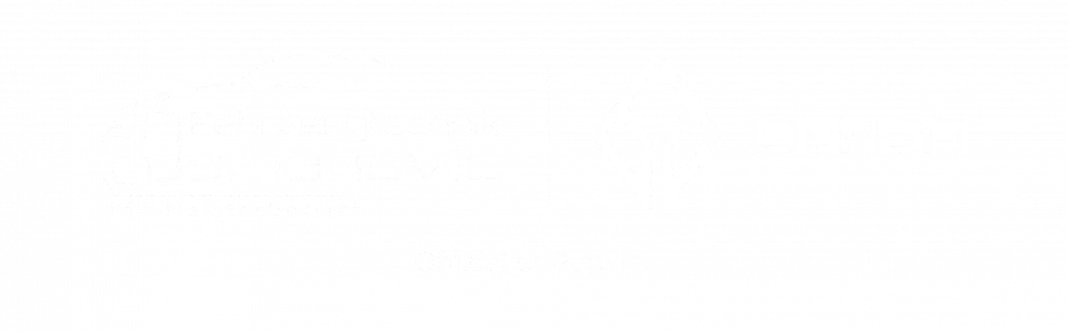 Fahrzeugtechnik Osmanovic und Benda – offizieller Partner